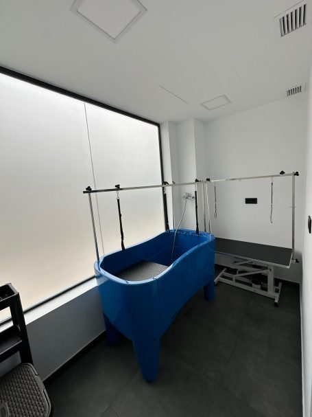 Sala de peluquería de MUNVET, con bañera y mesa de trabajo